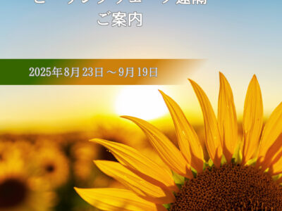 ヒーリングウェーブ（周波数）遠隔・2025年8月23日～9月19日のご案内
